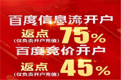 电商平台信息流广告的创意与优化：成功案例分析